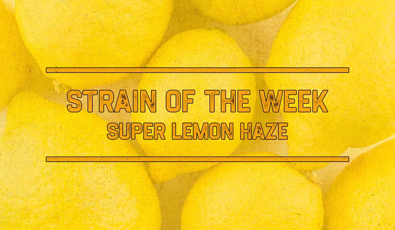 super lemon haze