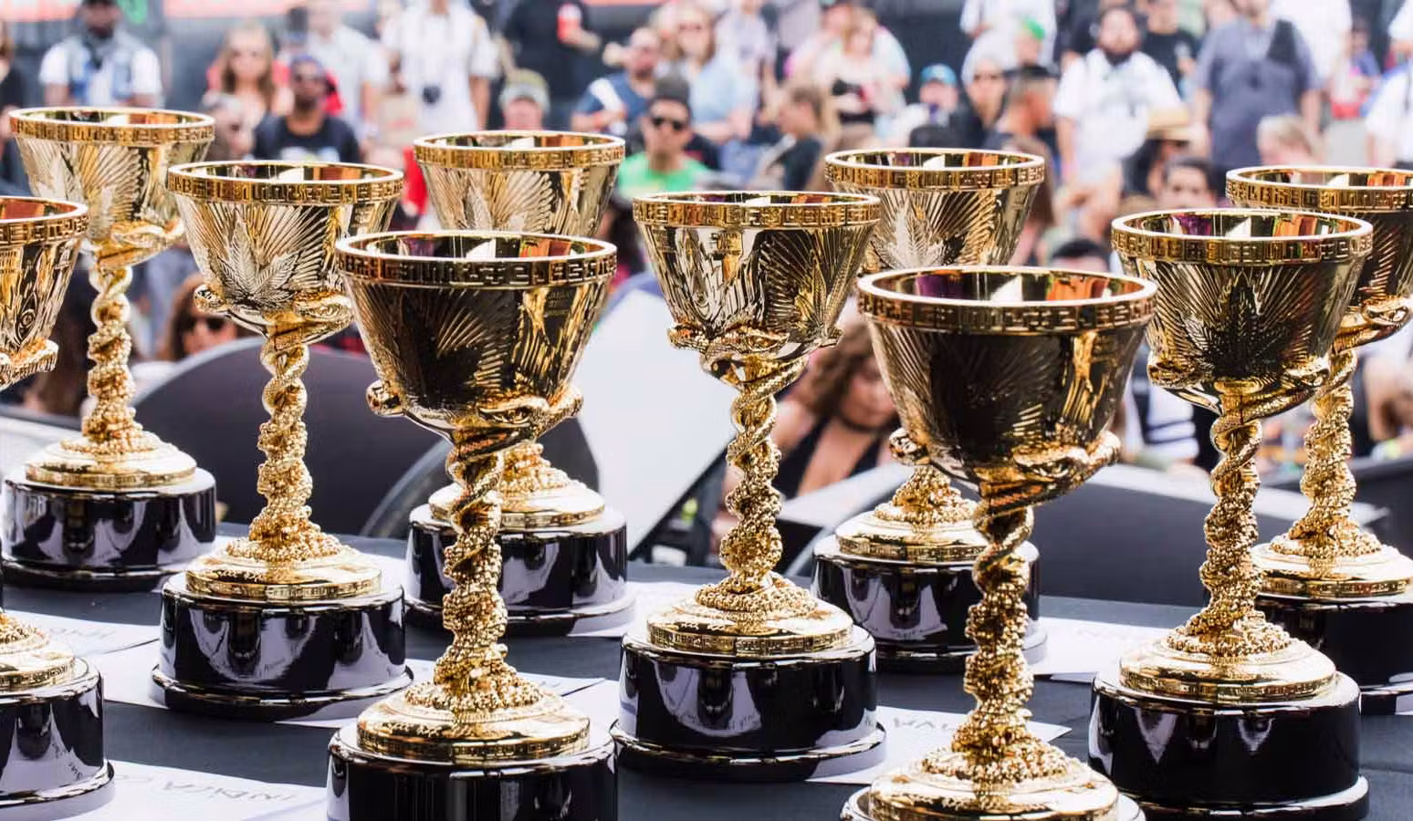 cannabis cup trophies