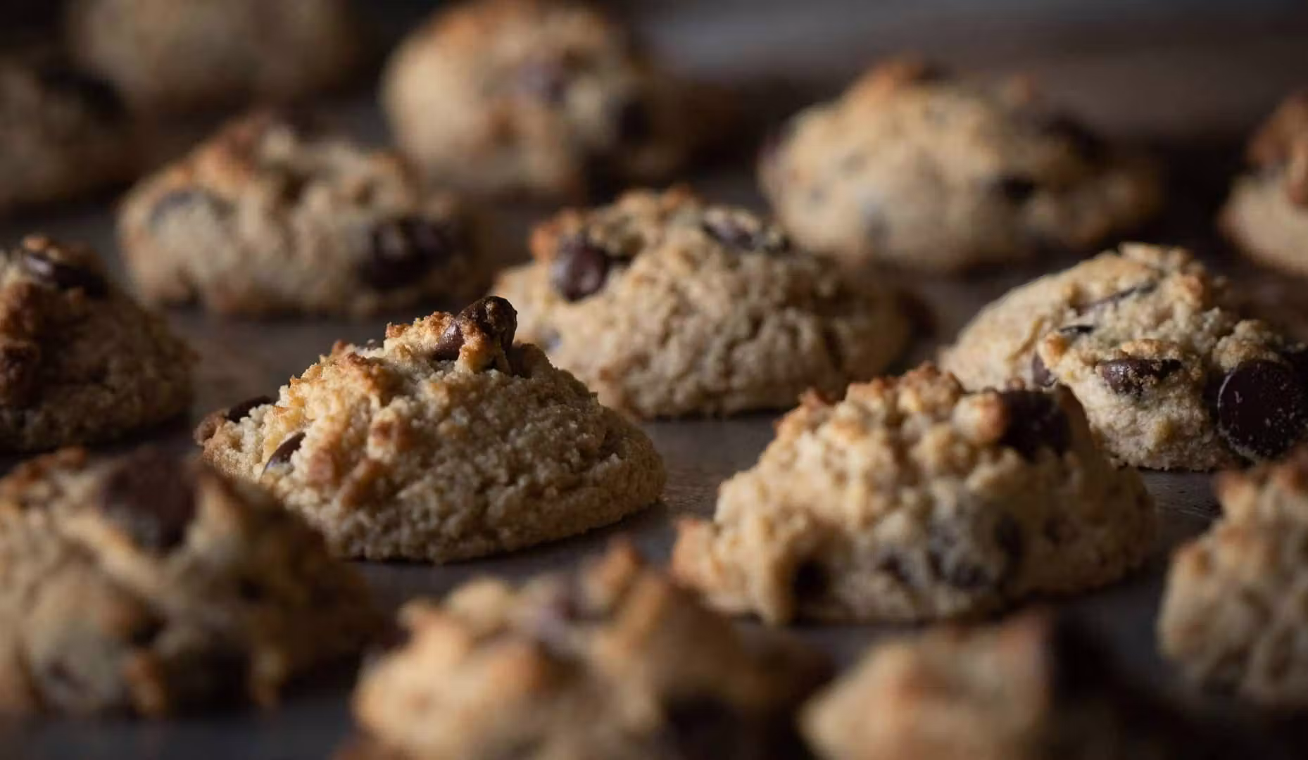 cannabis cookies