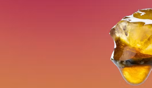 cannabis resin