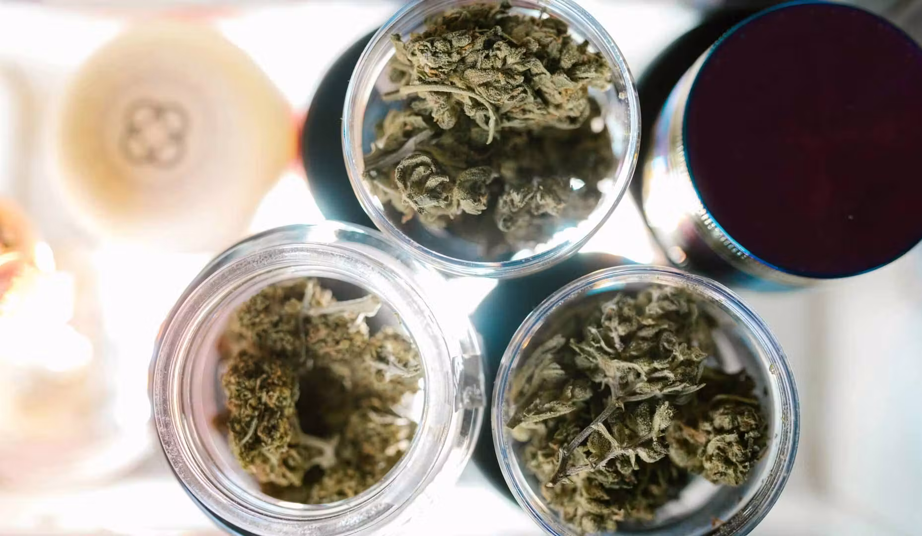 cannabis storage