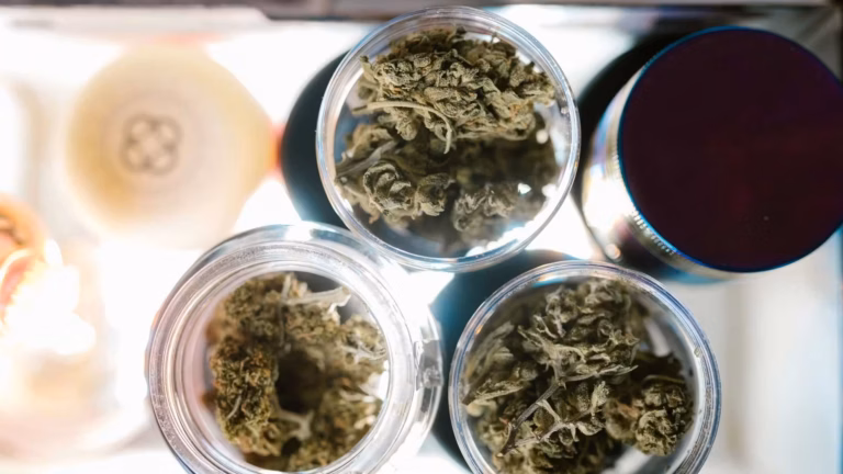 cannabis storage