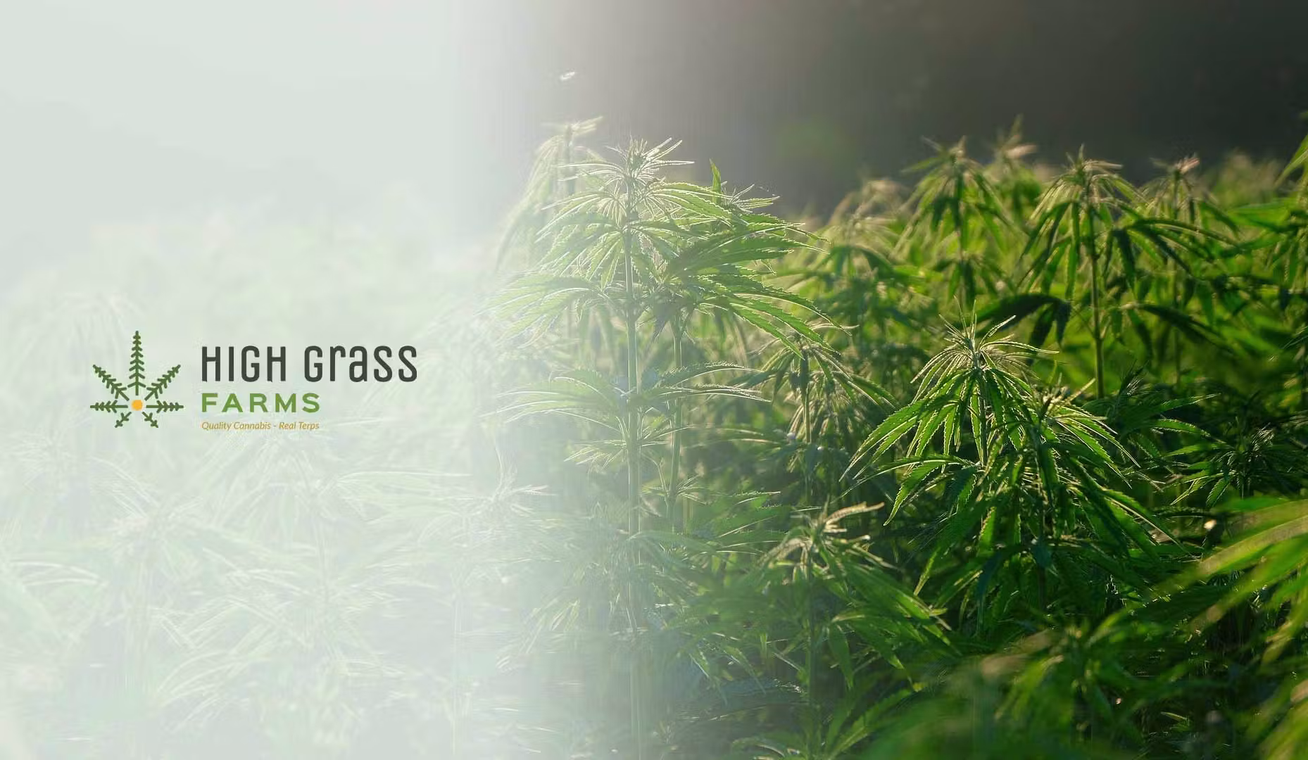 high grass farms